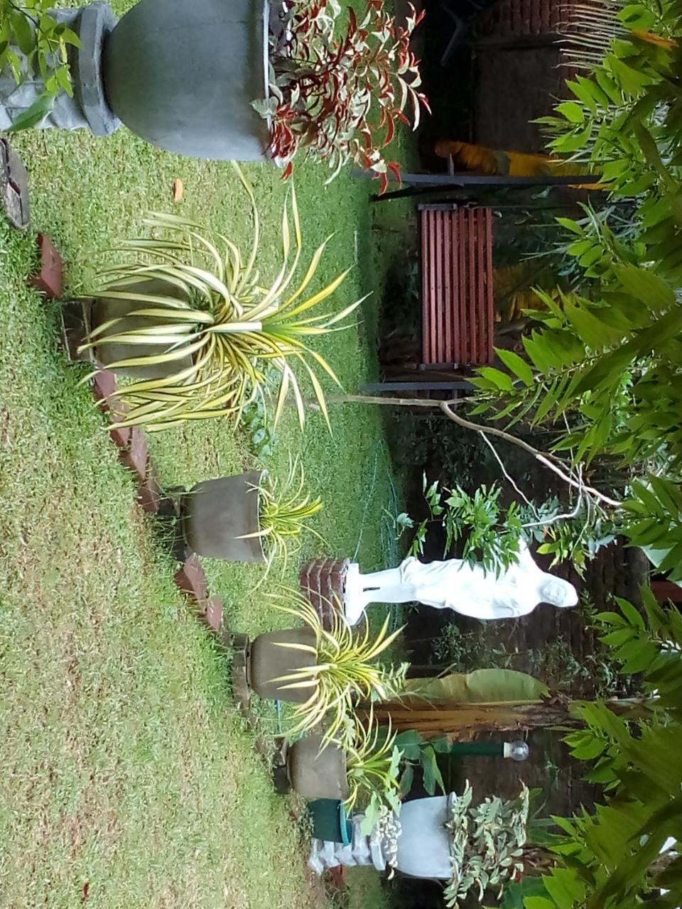 Villa Waterway Garden à Polonnâruvâ Extérieur photo